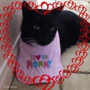 Meet your Posher, Beatriz